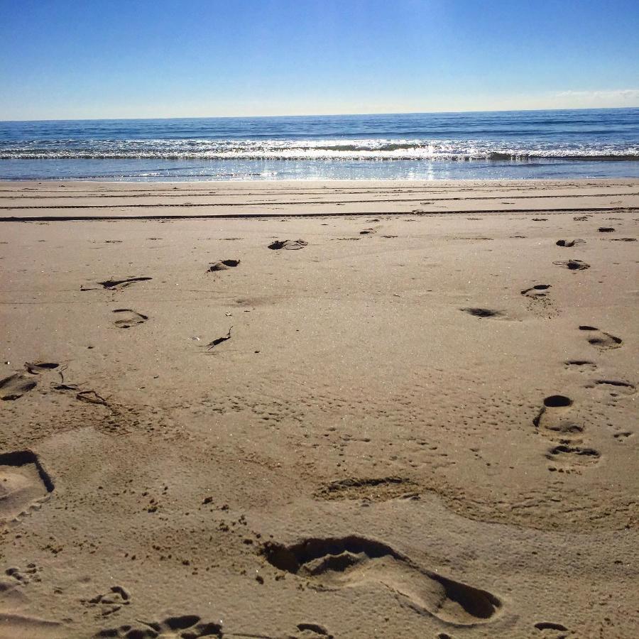 Experience Coastal Bliss at Kirra Surf Apartments